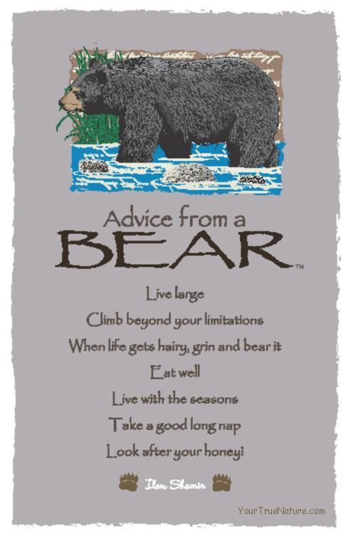 a bear with the words advice from a bear on it's back and an image of