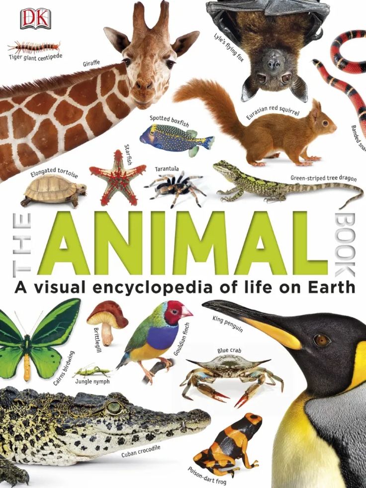 the book cover shows different types of animals