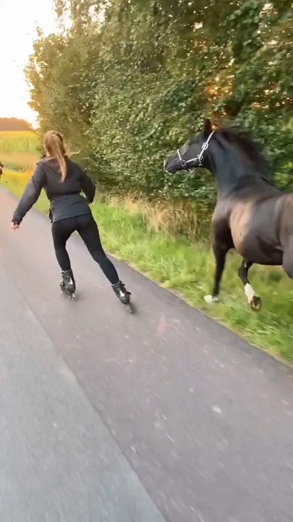 two people skateboarding down the road with horses behind them