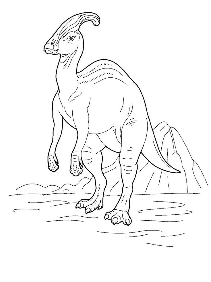 a drawing of a dinosaur in black and white