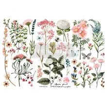 various flowers and plants are shown on a white background with the words,'wildflowers '