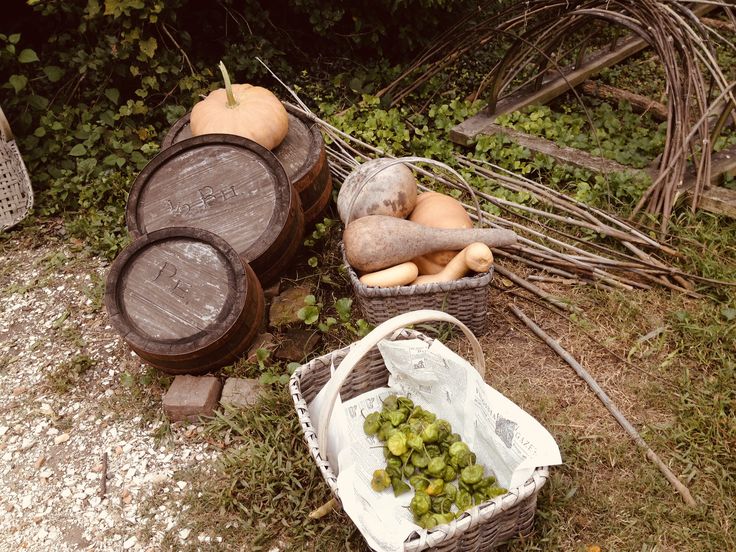 baskets filled with different types of vegetables sitting on the ground next to barrels and trees