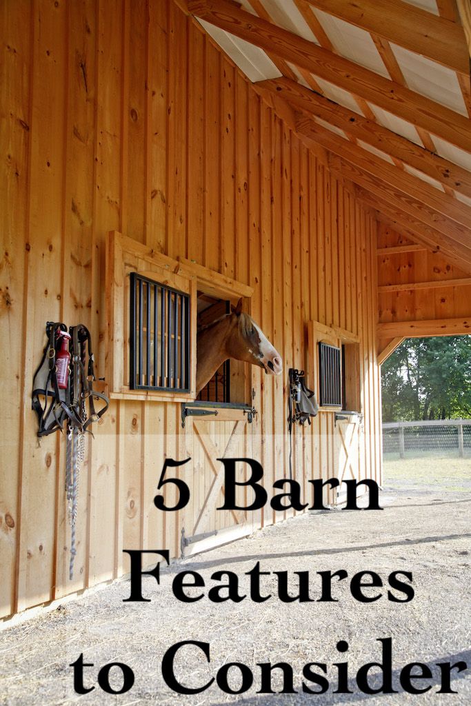 the inside of a barn with horses in it and text that reads 5 barn features to consider