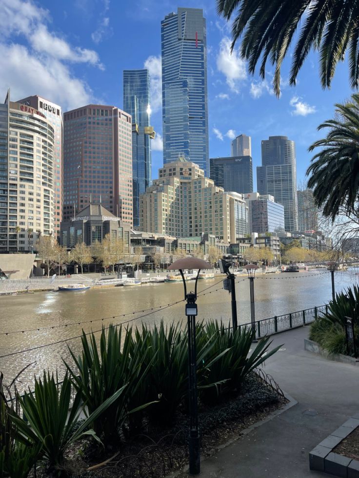 the city skyline is shown with tall buildings in the foreground and palm trees on the other side