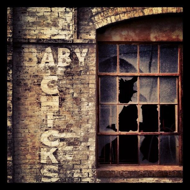 an old brick building with a window that has the word army on it and a dog behind bars