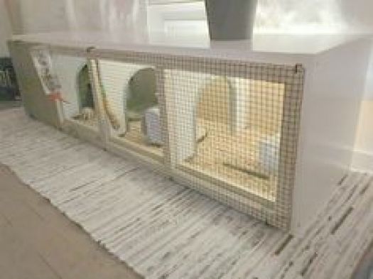 an animal cage with four small animals inside