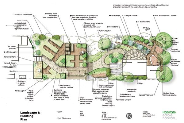 a plan for a garden with lots of trees and plants on the side of it