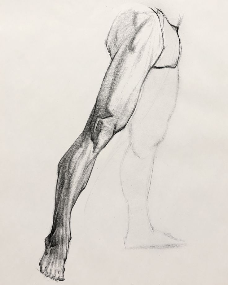 a black and white drawing of a man's leg with muscles drawn on paper