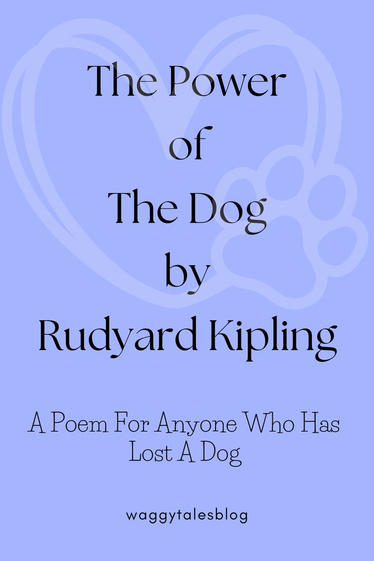 the power of the dog by rudyard klipling, a poem for anyone who has lost a dog