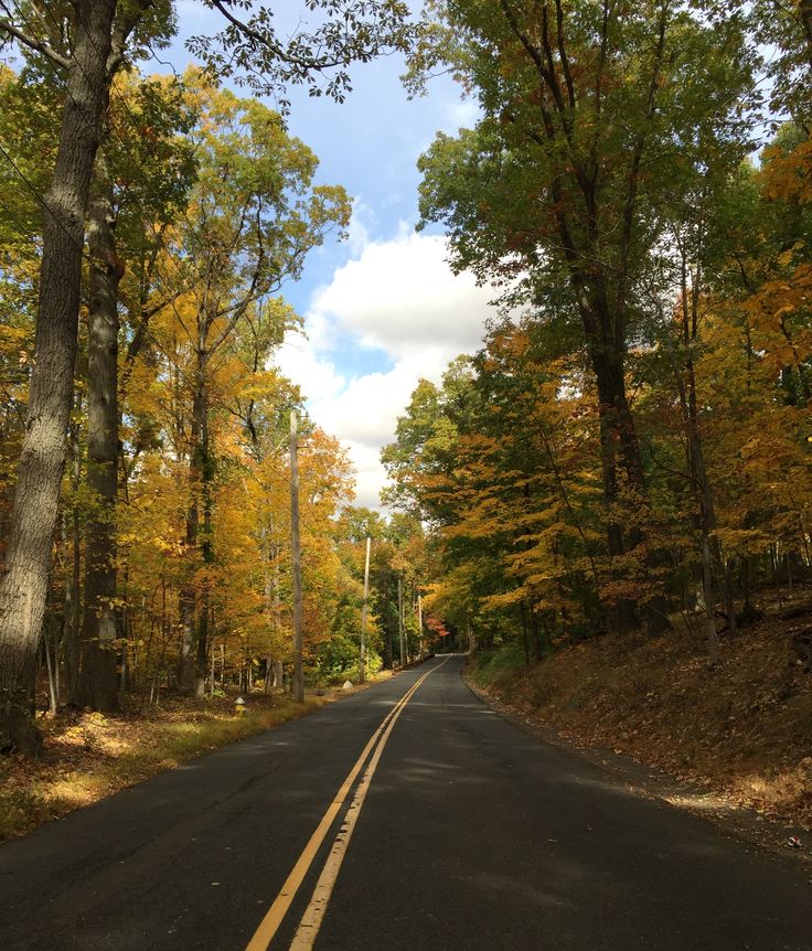 an empty road surrounded by trees in the fall