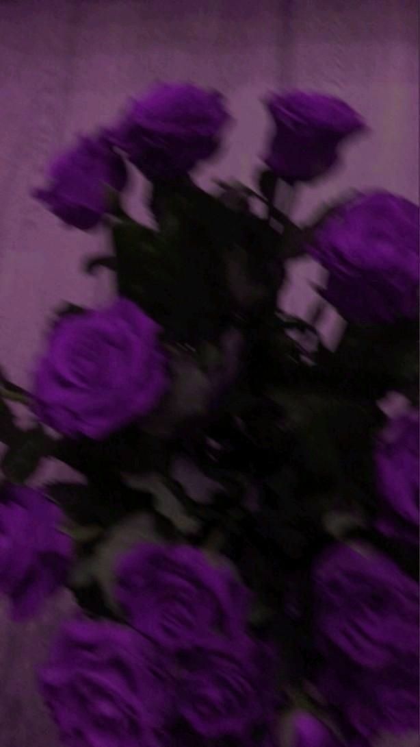 a bunch of purple roses sitting on top of a table