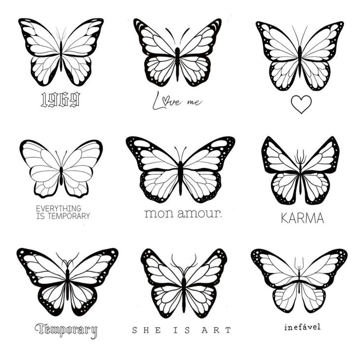 six different butterflies with the names of each butterfly in black and white, on a white background