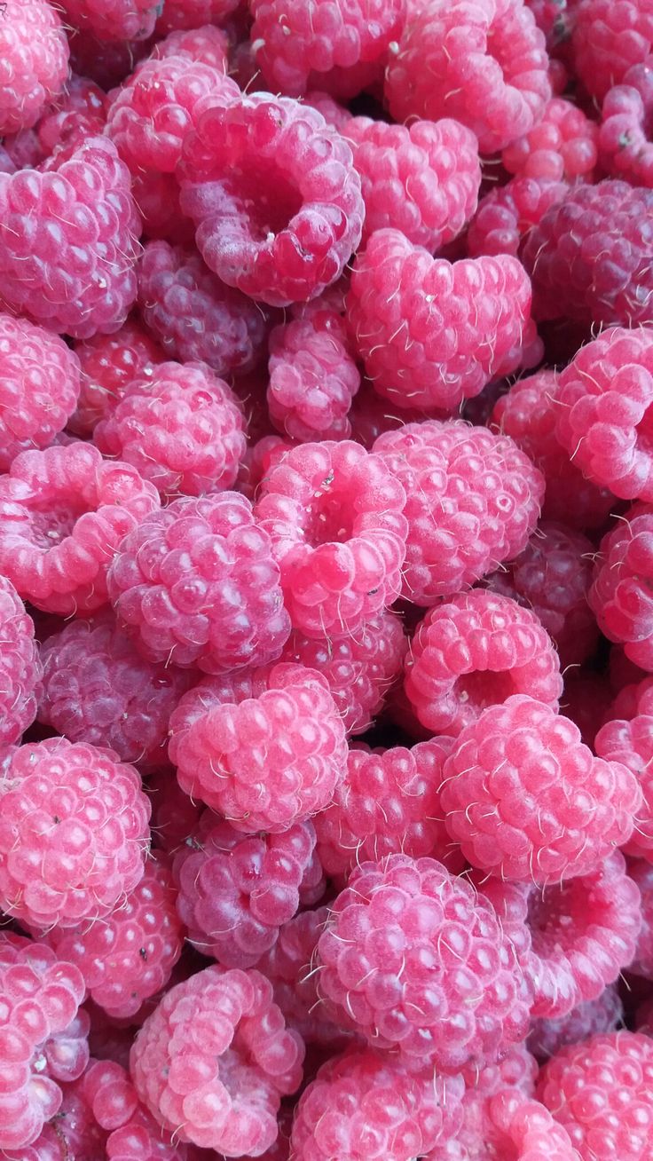 raspberries that are pink in color