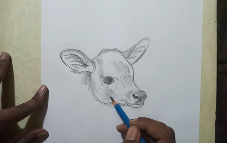 a drawing of a cow with a pencil in it's mouth is being drawn