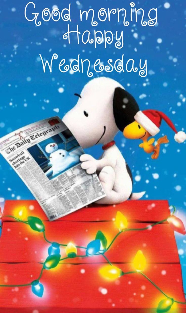 a snoopy dog reading a newspaper on top of a box with christmas lights around it