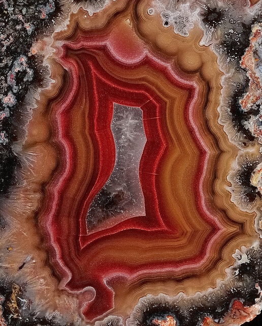 an agate stone with red and brown stripes on it's surface, surrounded by licheny moss