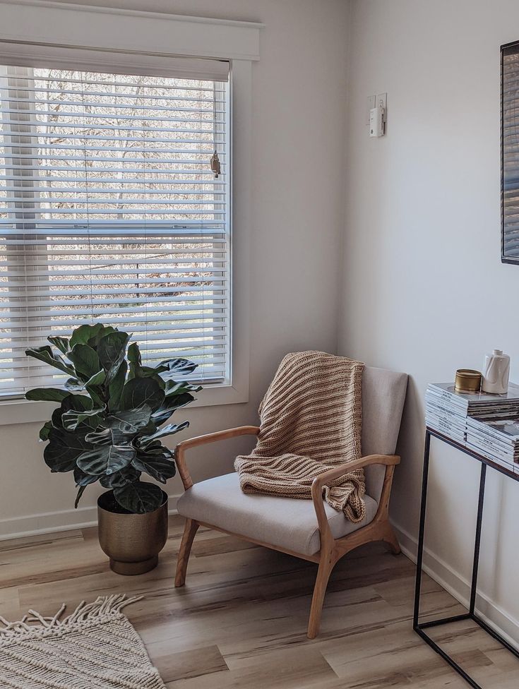 a living room with a chair and a plant