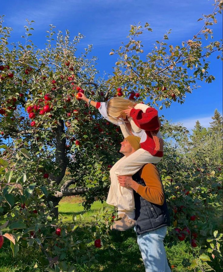 two people are picking apples from an apple tree