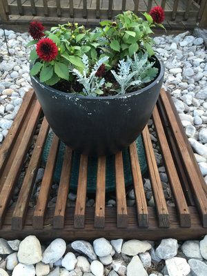 a large potted planter sitting on top of a wooden pallet next to rocks