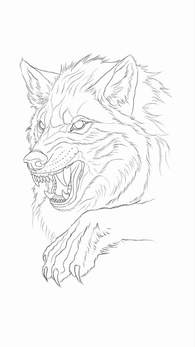 a drawing of a wolf with its mouth open