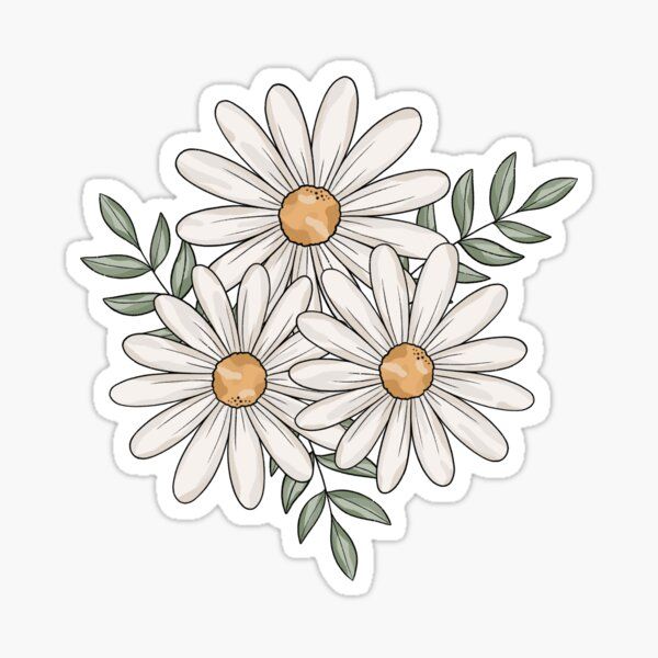 three white daisies with green leaves on a white background sticker for laptop, phone or tablet