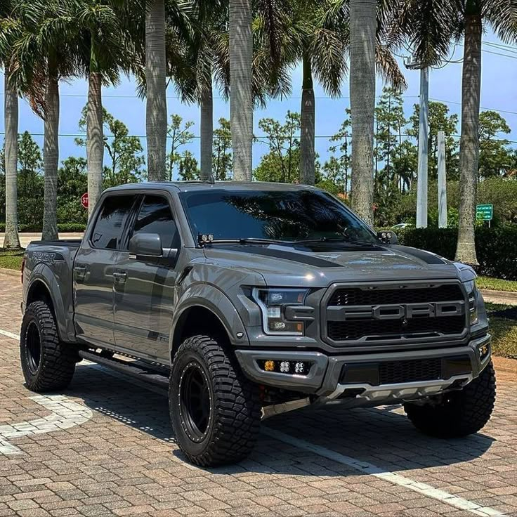 a large gray truck parked on top of a brick road next to palm tree lined street