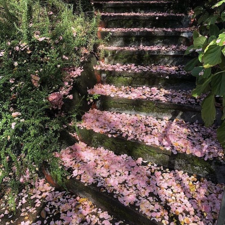 the steps are covered with pink flowers and leaves