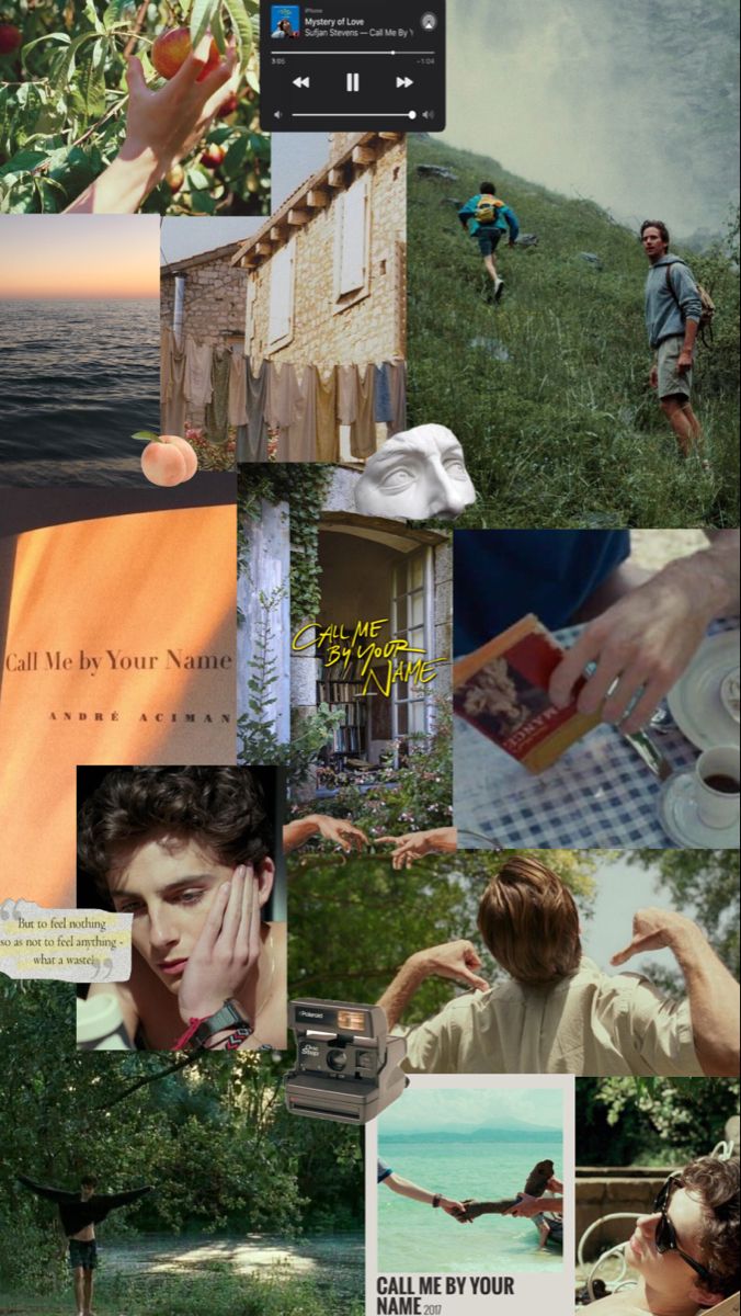 Call me by your name aesthetic cottage core timothee chalamet summer Call Me By Your Name Aesthetic Wallpaper, Call Me By Your Name Wallpaper, Aesthetic Simple Wallpaper, Cmbyn Wallpaper, Somewhere In Northern Italy, Wallpaper Name, Dark Academia Posters, Italy 1983, Somewhere In Northern Italy 1983