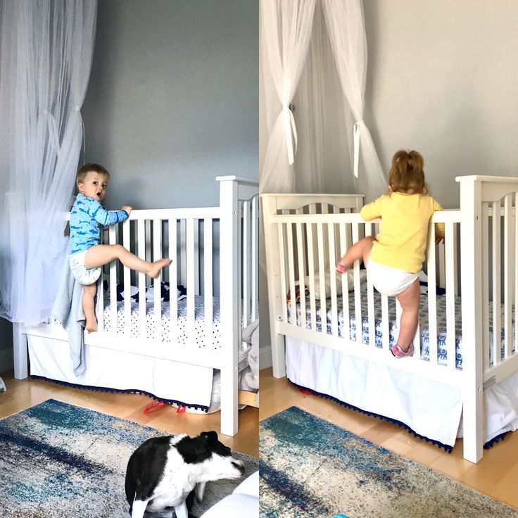 two children playing in their cribs and one is sitting on the floor next to a cat