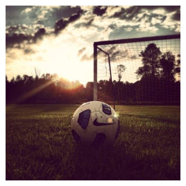 a soccer ball sitting on top of a lush green field