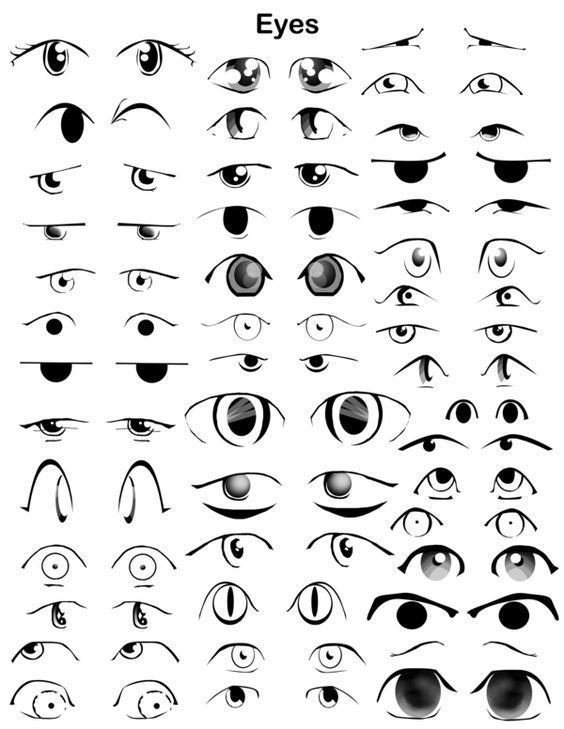 an image of different types of eyes