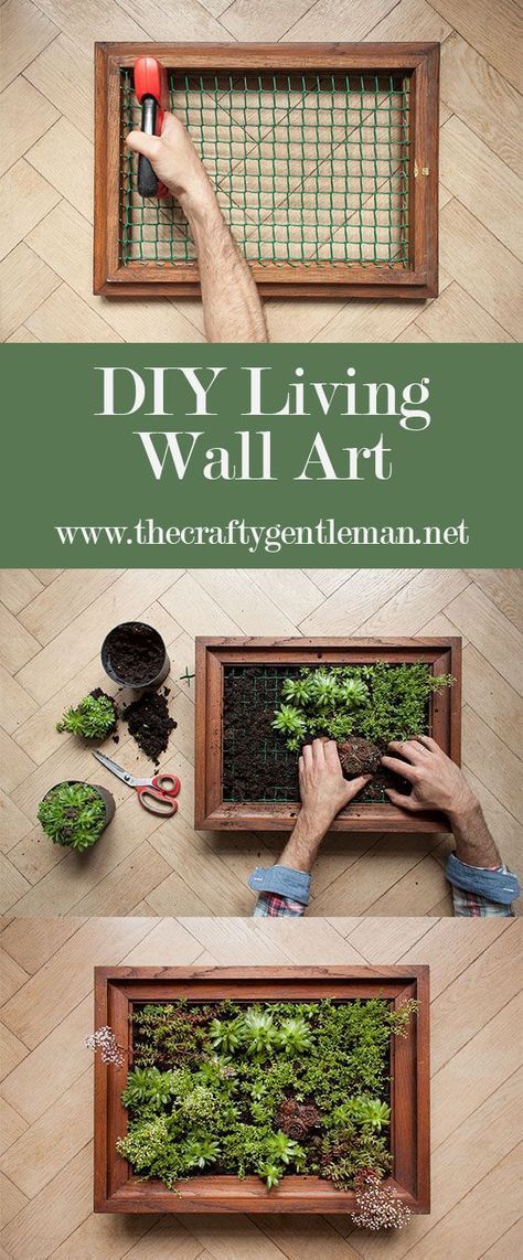 How to make a vertical garden - The Crafty Gentleman | acrylic painting food
, kitchen artwork painting
, kitchen artwork painting
, acrylic painting kitchen art
, oil painting food
, kitchen paintings art wall decor
, kitchen paintings art wall decor bohemian
, fruit wall art
, fruit art print
, fruit painting prints
, abstract fruit painting
, fruit canvas painting Living Wall Diy, Moss Graffiti, Succulent Frame, Garden Wall Designs, Vertical Vegetable Garden, Living Wall Art, Wall Art Display, Vertical Garden Wall, Vertical Herb Garden