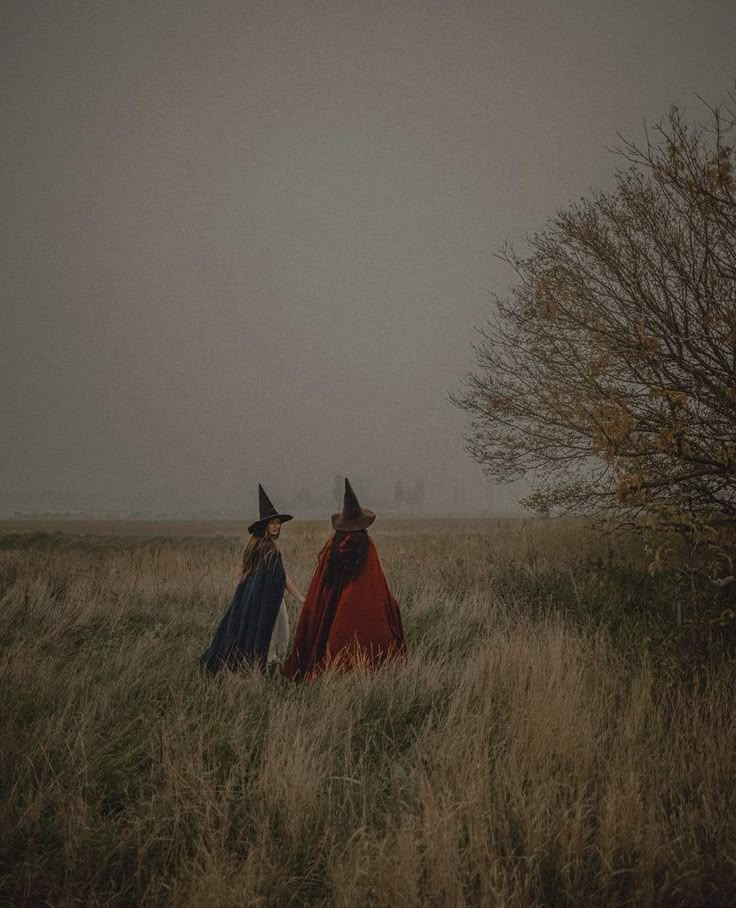 two people dressed in costumes walking through tall grass on a foggy day with trees behind them