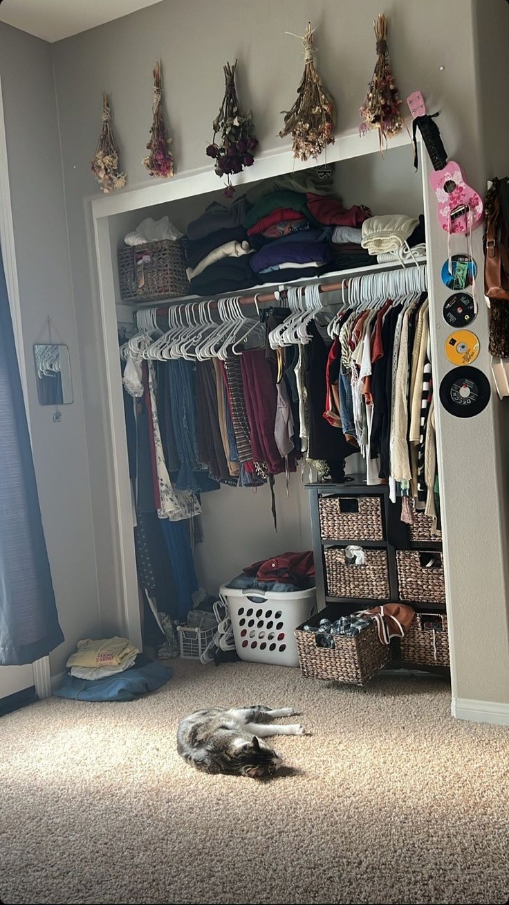 a cat laying on the floor in front of a closet