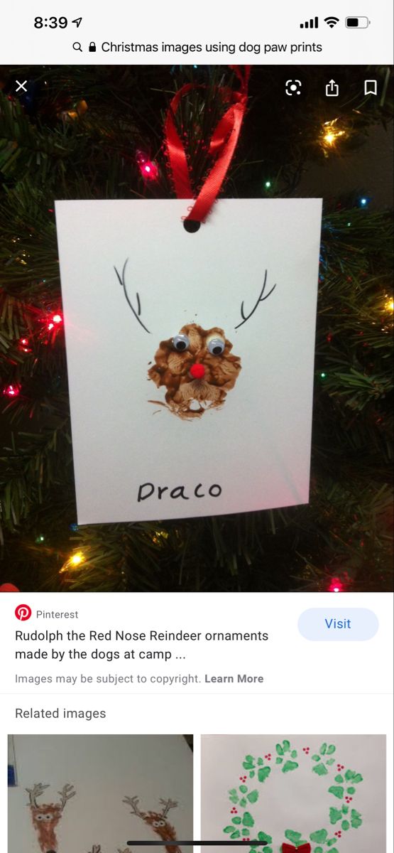 an ornament hanging from a christmas tree with reindeers and pine cones on it