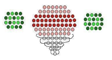 the diagram shows how many dots are arranged in different colors