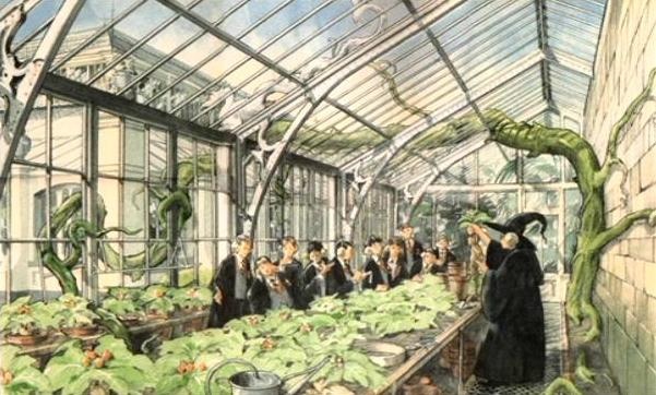 a painting of people in a greenhouse with plants growing inside the greenhouses and on the ground