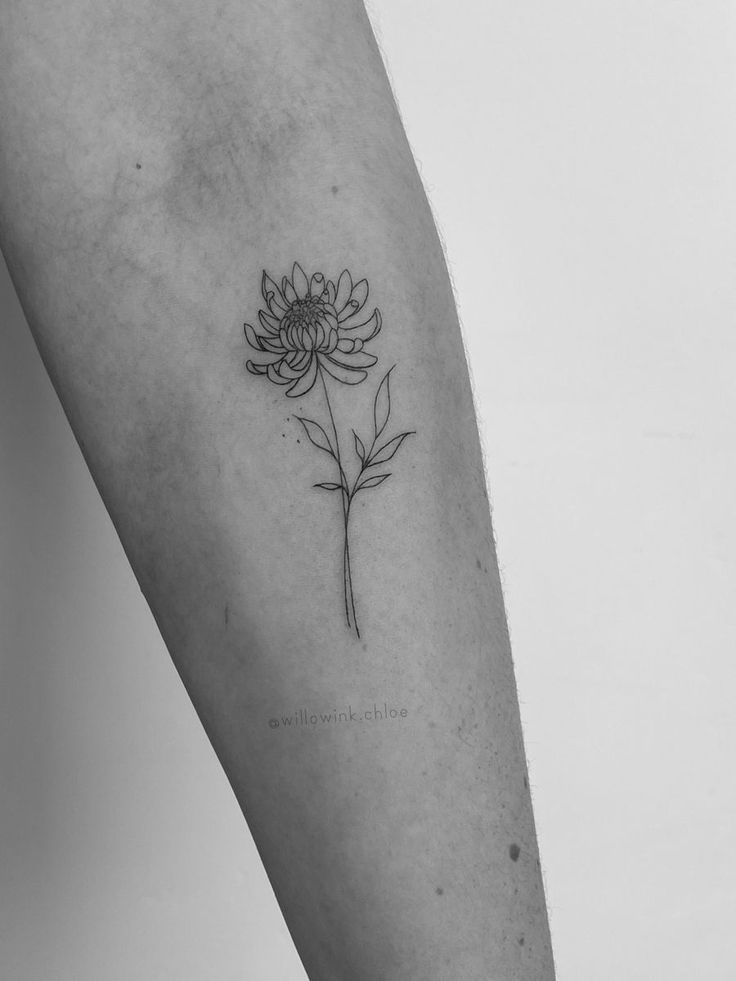 Chysthamum Tattoo, Flower Tattoo Placement, Crisantemo Tattoo, Chrysanthemum Flower Tattoo, Dahlia Tattoo, Nano Brows, Coordinates Tattoo, Chrysanthemum Tattoo, Powder Brows