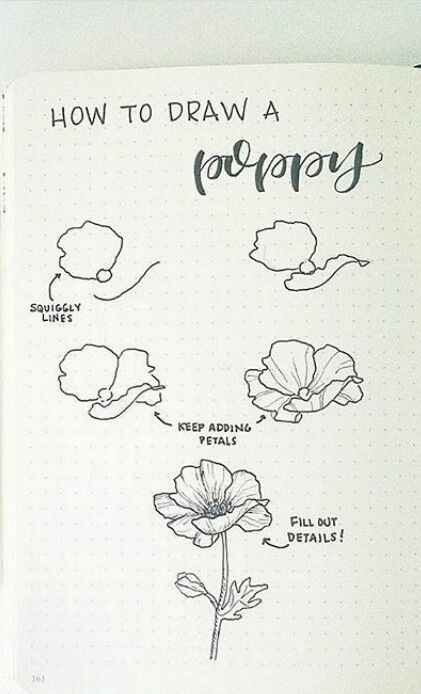 How to draw flowers Flower Sketches Tutorial, How To Draw Botanicals Step By Step, Flower Sketches Simple Step By Step, Botanical Drawings Tutorial, How To Draw Flowers Step By Step Simple, Flower Tutorial Drawing, How To Draw A Flower, How To Draw Flowers Step By Step, Drawing Flowers Step By Step