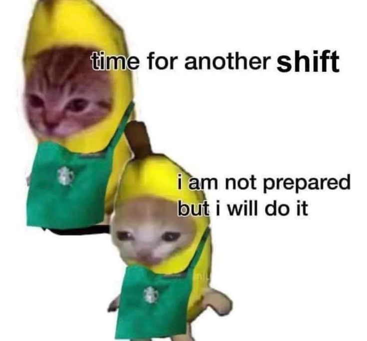 an image of two cats dressed in banana costumes with caption that reads time for another shift i am not prepared but i will do it