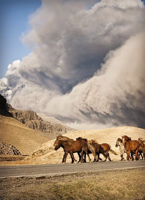 horses are walking down the road in front of some mountains with clouds and snow behind them