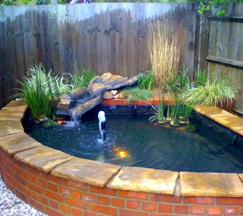 a small pond with rocks and plants in the middle, surrounded by a fenced area