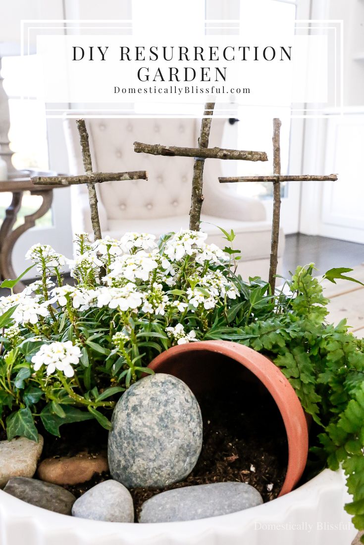 a potted plant with rocks and flowers in it