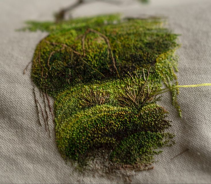 moss growing on the side of a piece of cloth