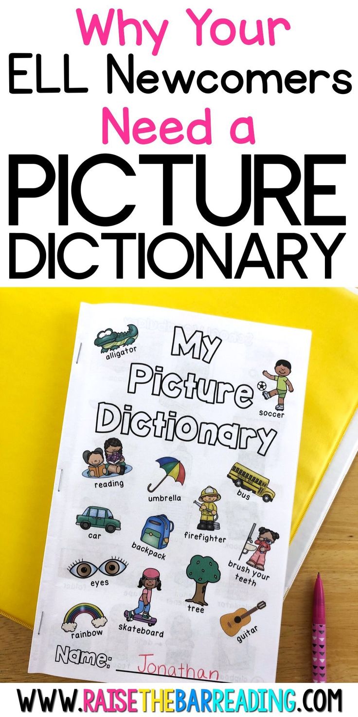 an image of a picture dictionary with the title why your new customers need a picture dictionary