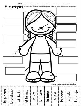 the parts of a human body worksheet for kids to practice their language and writing skills