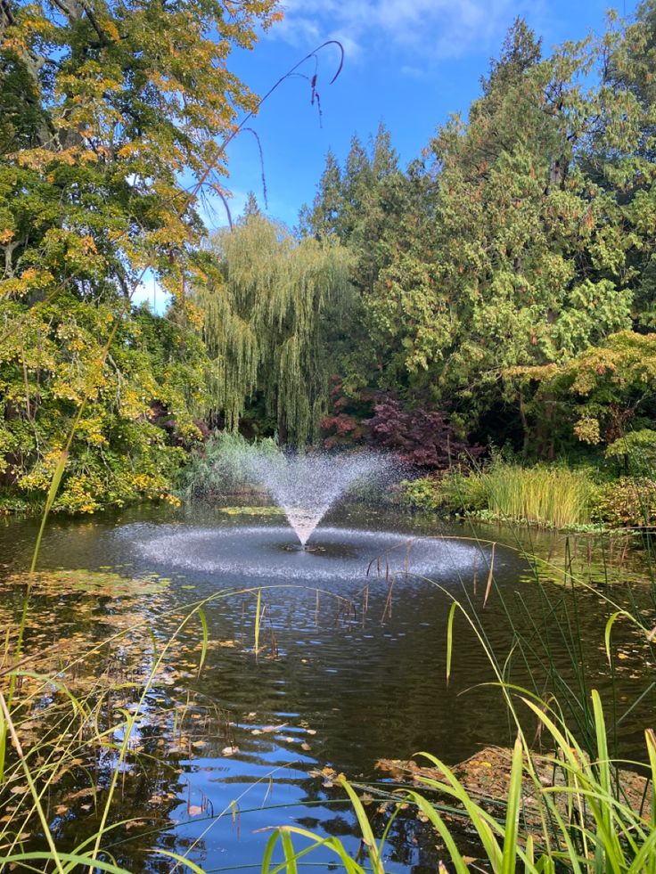 a pond with water spouting from it surrounded by trees