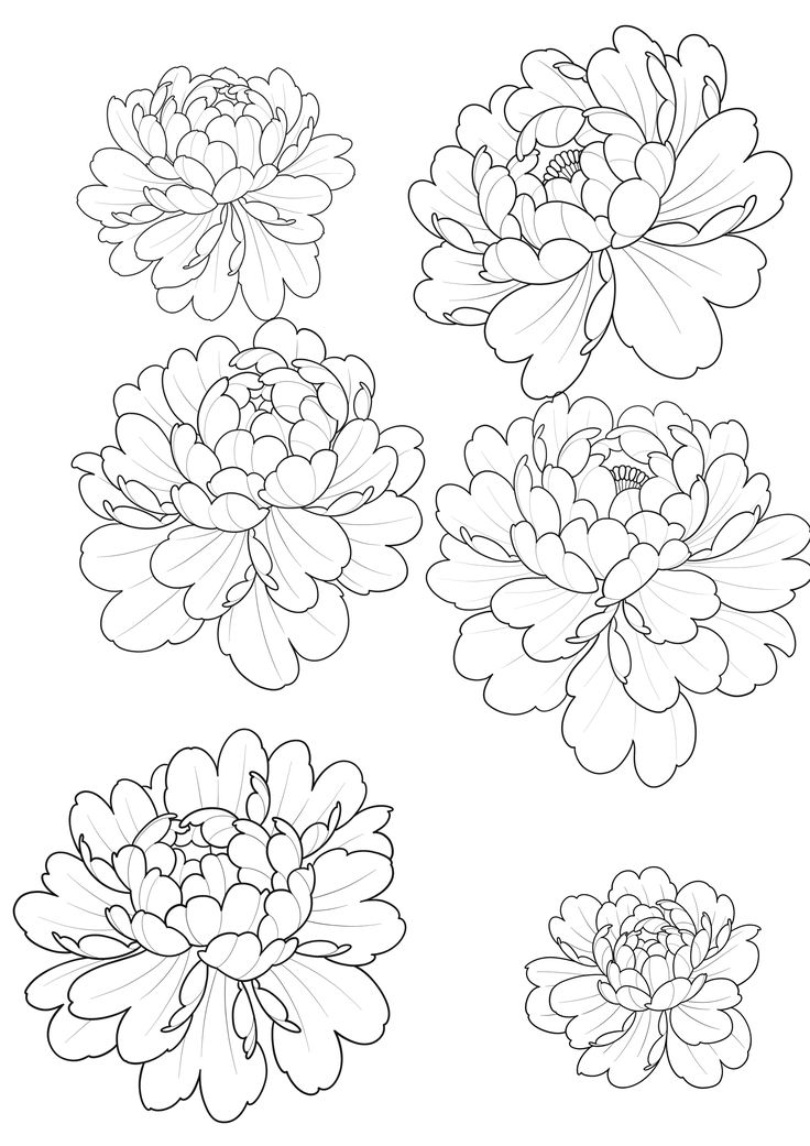 four different types of flowers with black and white outlines on the bottom, one large flower