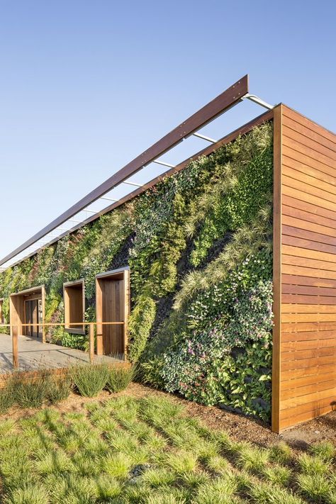 a green wall on the side of a building with grass growing up it's sides