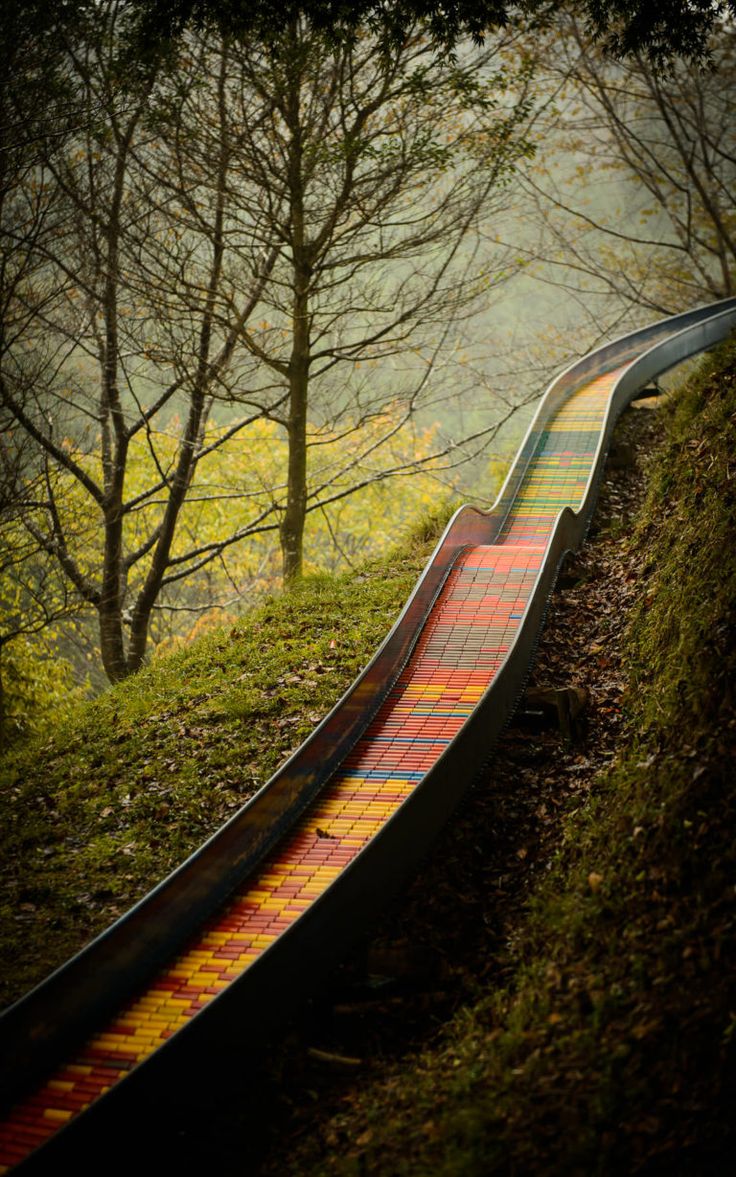 a train track in the middle of some trees